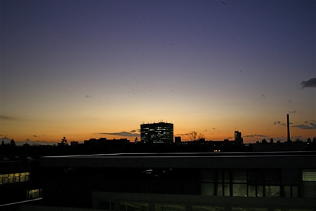 Sonnenuntergang ausm Büro