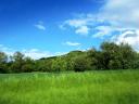 DriveByShoot #1