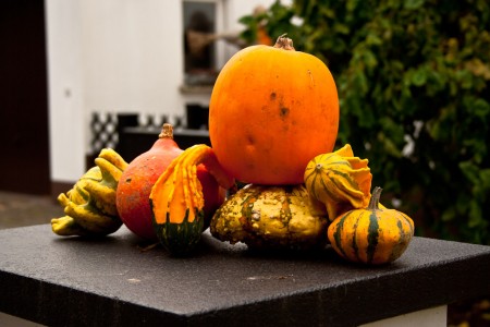 Herbst #2