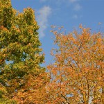 Bild4 Bild4