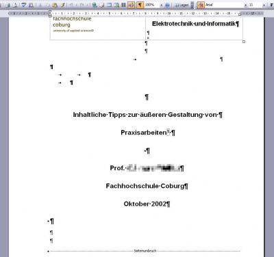 Praxisberichtsvorlage